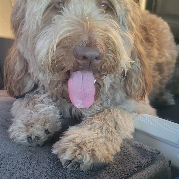 Meet your Posher, Jill - Picture 10 of 13